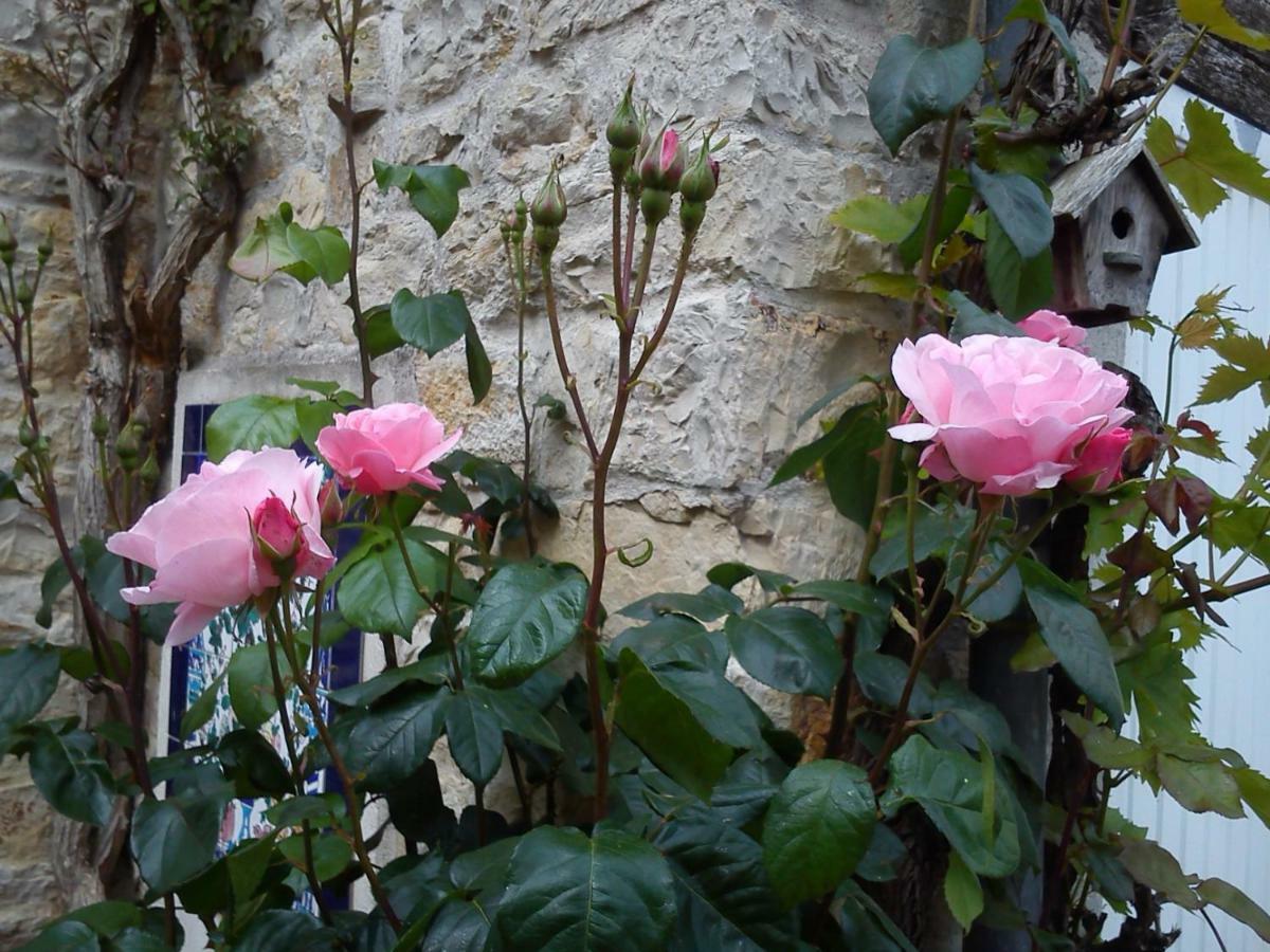 Le Clos Des Treilles *